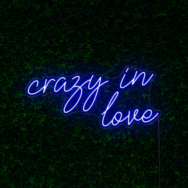 Crazy in Love Neon Sign