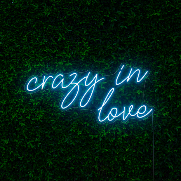 Crazy in Love Neon Sign