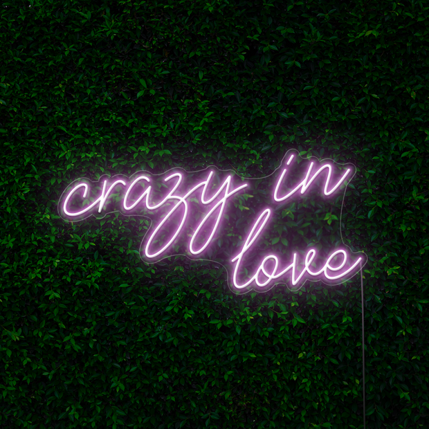Crazy in Love Neon Sign