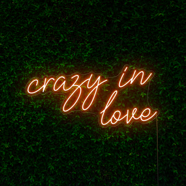 Crazy in Love Neon Sign