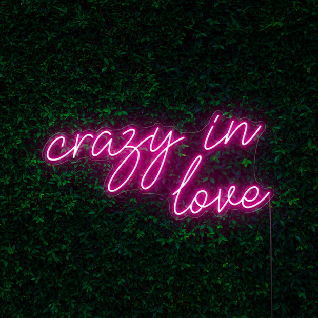 Crazy in Love Neon Sign