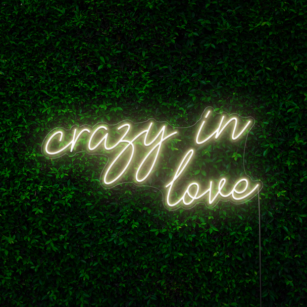 Crazy in Love Neon Sign